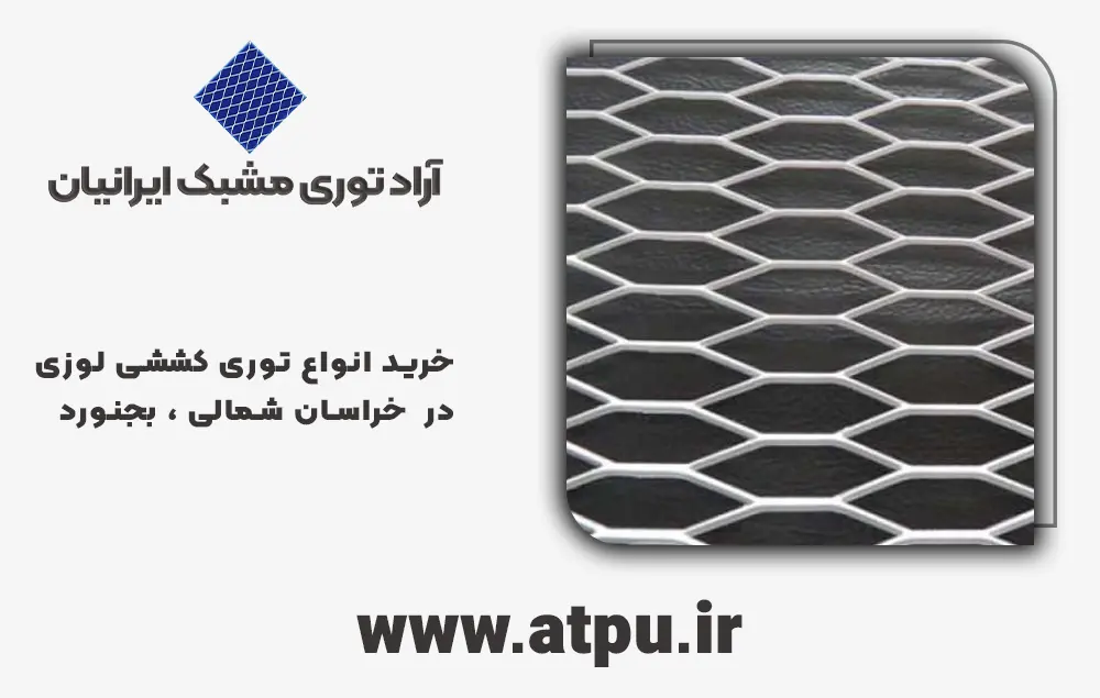 خرید توری کششی بجنورد