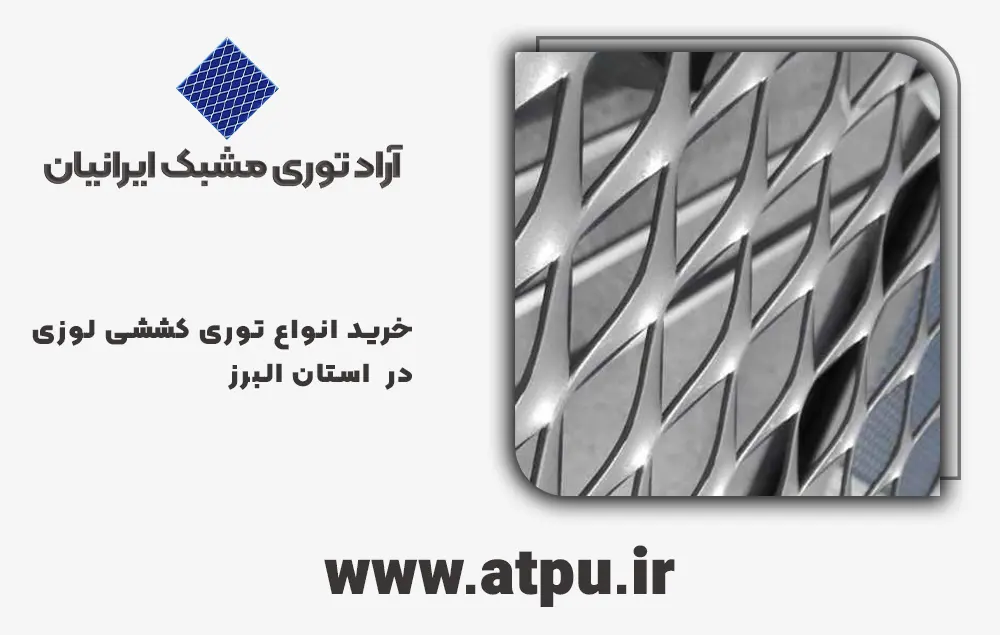 خرید توری کششی البرز